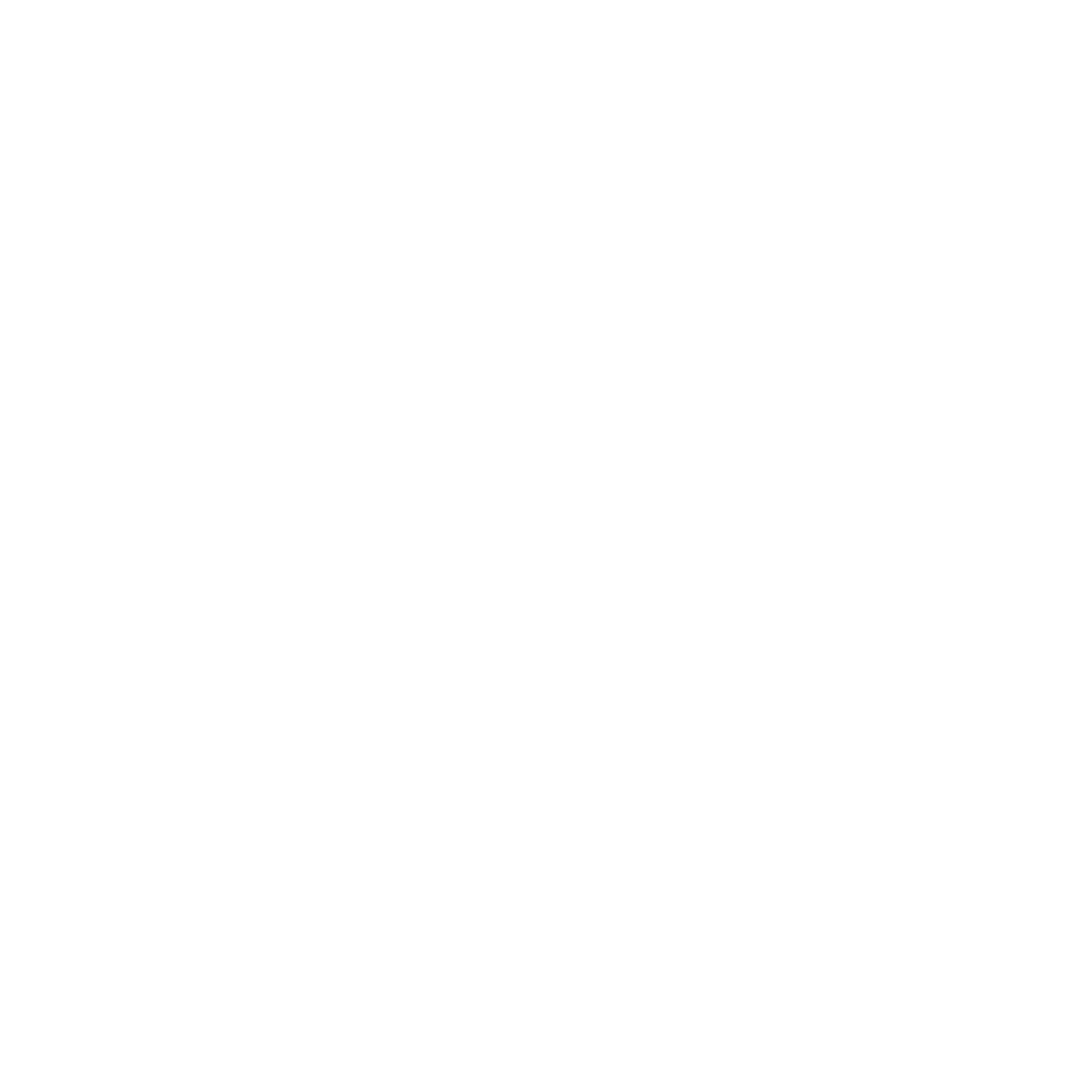 Website_Benefit_Icon_Speed_White