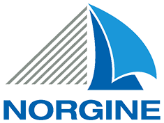 Norgine_Logo