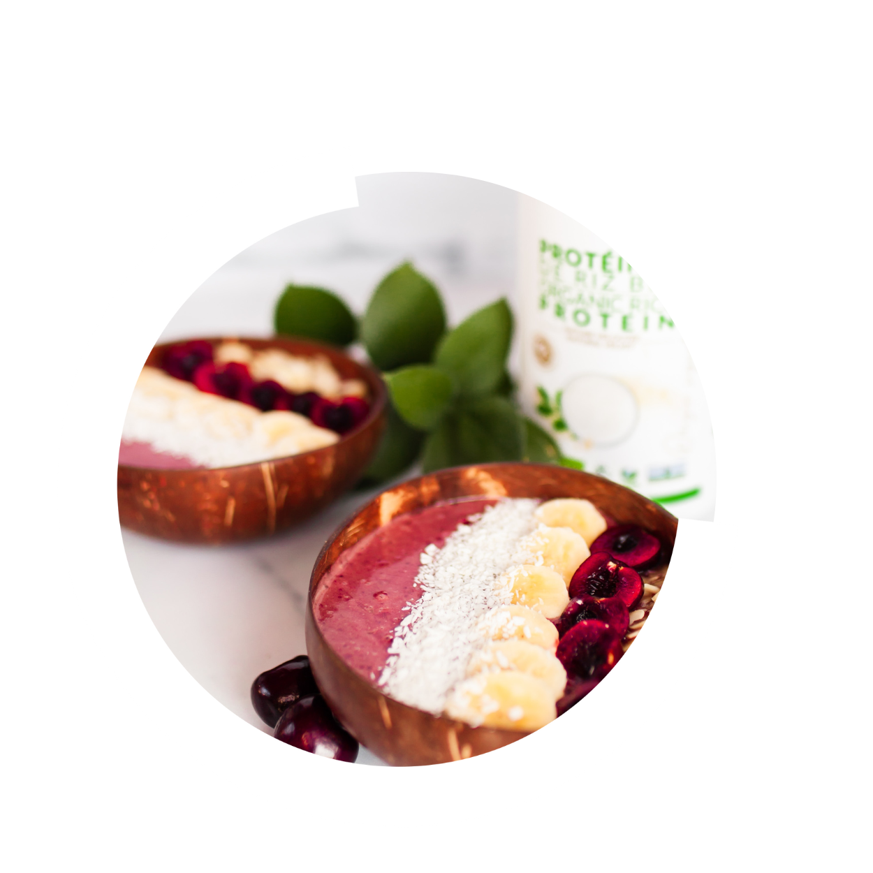 Proteinprodukte Proteinprodukte